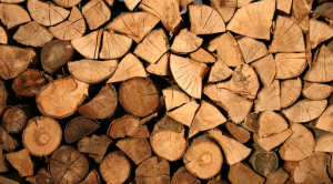 Mengeringkan Kayu Secara Alami