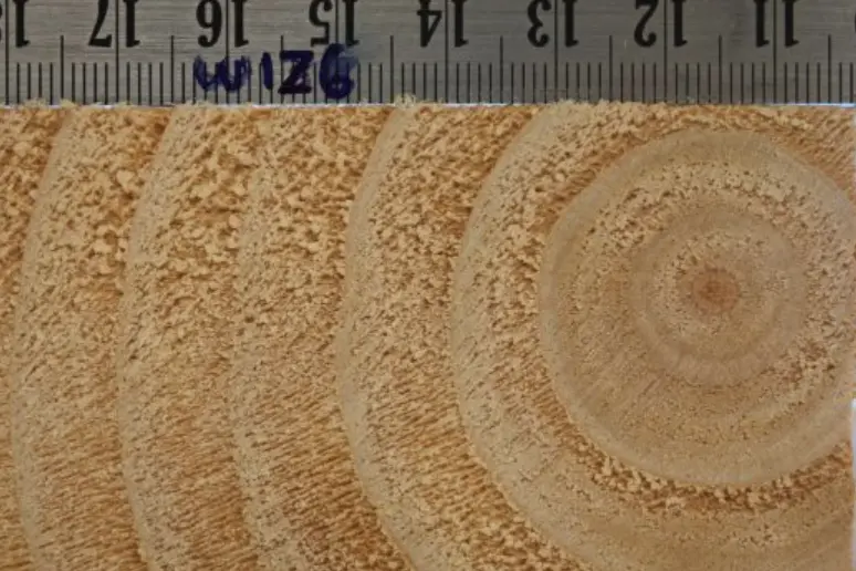 Lem kayu dan lem hpl Crona - Screen Shot 2020 05 12 at 20.02.44