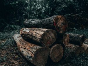 Kualitas Kayu Kurang Baik? Awetkan Dengan Cara Ini!