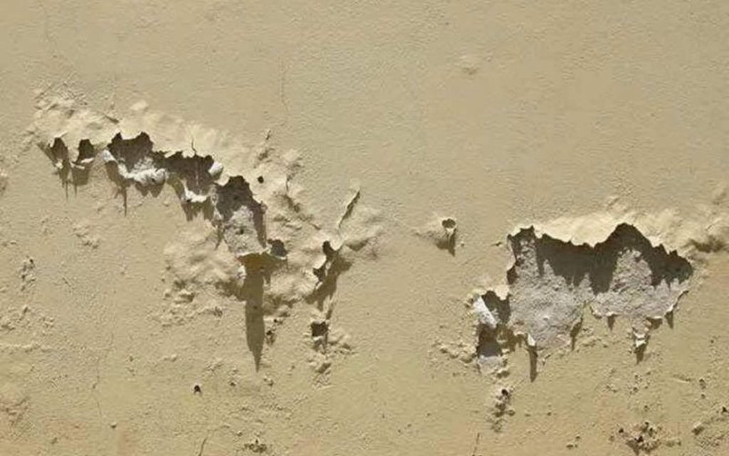 Cat Pelapis Anti Bocor Cronaproofa 1K – Waterproofing Dinding dan Atap Terbaik dari Crona