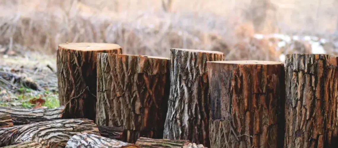 Screen-Shot-2020-05-12-at-19.59.08